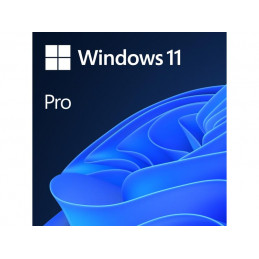 Microsoft Windows 11 Pro, OEM